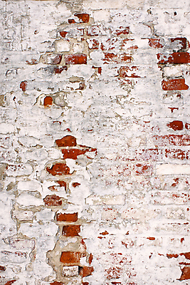 포토 JPG 해외이미지 디자인 외관 벽 백그라운드 패턴 건축양식 표면 날씨 추상 벽돌 사람없음 건물 빨간색 수확 골동품 흰색 시골 도시 고민 질감 복고 시멘트 그런지 깨짐 석고 옛날 콘크리트 해외202004 해외포토 건축물 건축 감정 컬러 컨셉 무늬 농업 파일형식 이미지허브