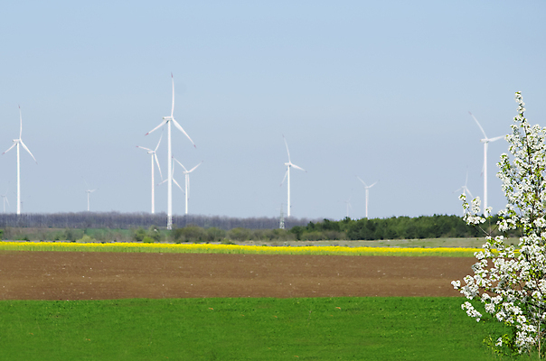 포토 JPG 해외이미지 농업 자연 하늘 풍경 사람없음 농장 농경지 우주 봄 목장 풍차 수확 성장 시골 땅 수평선 해외202004 해외포토 계절 산업 생태계 파일형식 이미지허브