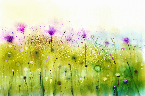 JPG 해외이미지 꽃 꽃밭 일러스트 수채화 미술 사람없음 그림 번짐 손그림 해외202004 해외일러스트 식물 문화예술 파일형식 효과 이미지허브