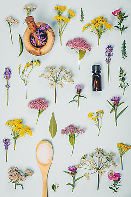 포토 JPG 해외이미지 꽃 패턴 사람없음 패턴백그라운드 오일 오브젝트 아로마 아로마테라피 막자사발 입욕소금 해외202004 해외포토 식물 음식 백그라운드 무늬 화장품 미용용품 사발 소금 테라피 파일형식 이미지허브