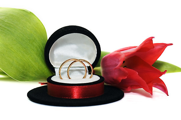 포토 JPG 해외이미지 커플 결혼 가족 사람없음 빨간색 튤립 반지 해외202004 해외포토 꽃 컬러 장신구 관계 이벤트 파일형식 이미지허브