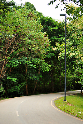 포토 JPG 해외이미지 나무 도로 길 백그라운드 곡선 하늘 날씨 풍경 사람없음 야외 초록색 여름 햇빛 중국 숲 아스팔트 해외202004 해외포토 식물 계절 아시아 선 컬러 교통시설 태양 파일형식 이미지허브