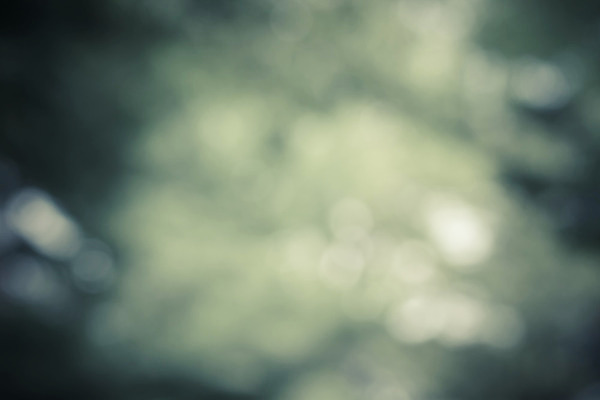 포토 JPG 해외이미지 식물 디자인 계절 백그라운드 잎 크리스마스 패턴 자연 하늘 추상 사람없음 빨간색 초록색 빛 컬러풀 햇빛 환경 맑음 봄 활발 소프트포커스 숲 질감 보케 부드러움 내추럴 광 블러 생태학 효과 해외202004 해외포토 교육 기념일 컬러 컨셉 무늬 날씨 촬영기법 태양 감각 생태계 파일형식 이미지허브