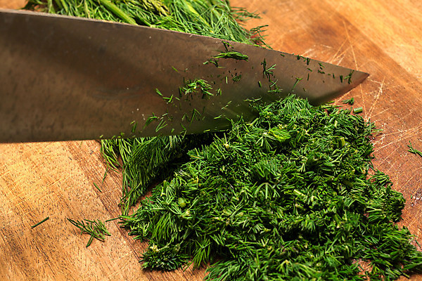 포토 JPG 해외이미지 식물 음식 백그라운드 잎 꽃무늬 다이어트 채소 재료 자연 요리 사람없음 목재 초록색 나뭇가지 시골 신선 고명 양념 조미료 다발 허브 향신료 상쾌 유기농 향기 건강식 딜 채식주의자 해외202004 해외포토 나무 웰빙 꽃 감정 컬러 무늬 건강 생태계 채식 냄새 향미료 파일형식 이미지허브