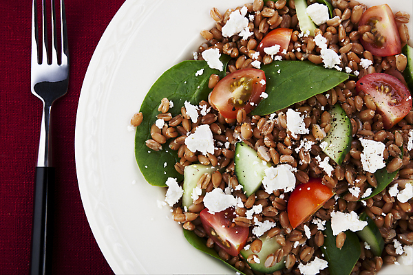 포토 JPG 해외이미지 음식 포크 다이어트 토마토 채소 오이 건강 사람없음 샐러드 맛 낟알 밀 시금치 채식주의자 해외202004 해외포토 식기 컨셉 곡류 채식 파일형식 이미지허브