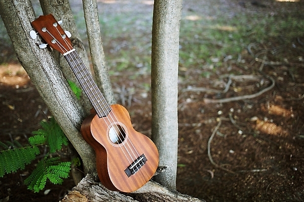 포토 JPG 해외이미지 손 공원 문화 음악 백그라운드 손가락 놀이 사람 여러명 사람없음 야외 목재 초록색 빛 파티 금속 쪽지 소리 콘서트 공연 음악가 무대 기구 기타 구멍 역사 클래식 연습 묘사 목 주인 재즈 멜로디 뮤지컬 스페인어 철강 팝 해외202004 해외포토 나무 직업 공공시설 컬러 다수 컨셉 재료 재질 현악기 문화예술 이벤트 신체부위 파일형식 이미지허브