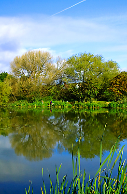 포토 JPG 해외이미지 나무 계절 공원 길 호수 백그라운드 잎 패턴 오렌지 자연 하늘 아침 휴식 잉글랜드 풍경 사람없음 야외 목재 빨간색 초록색 물 파란색 빛 강 반사 갈색 노란색 평화 가을 나뭇가지 변화 황금 숲 장면 해외202004 해외포토 주간 자연요소 식물 공공시설 컬러 컨셉 무늬 과일 재료 영국 생태계 파일형식 이미지허브