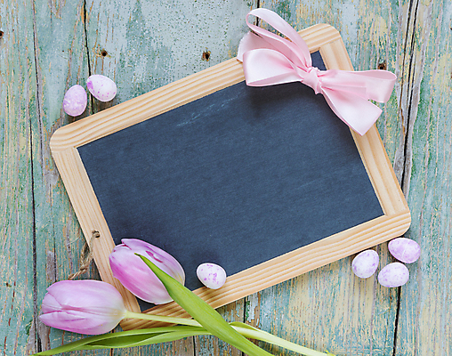 포토 JPG 해외이미지 전통 꽃 리본 분홍색 꽃다발 백그라운드 2 휴가 부활절 사람없음 목재 칠판 공백 튤립 메뉴 활 해외202004 해외포토 나무 식물 기념일 컬러 재료 파일형식 이미지허브