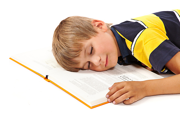 포토 JPG 해외이미지 백인 학생 손 교육 행복 어린이 남학생 과학 백그라운드 교실 학교 수업 스트레스 피곤 한명 미소 사람 소년 책 스터디 공책 꿈 흰색 잠 도서관 작음 지루함 책상 신학기 교과서 문제 불만 고립 우울증 초보 해외202004 해외포토 서양인 1 남자 감정 컬러 가구 컨셉 문구용품 교재 표정 신체부위 학습 질병 크기 파일형식 이미지허브