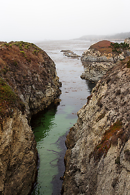 포토 JPG 해외이미지 야생동물 모래 파도 바다 자연 풍경 해변 사람없음 야외 물 미국 힘 에너지 암석 서핑 캘리포니아 암초 폭풍 서식지 울퉁불퉁 힘찬 해외202004 해외포토 자연요소 동물 컨셉 북아메리카 날씨 돌_바위 수상스포츠 생태계 파일형식 이미지허브
