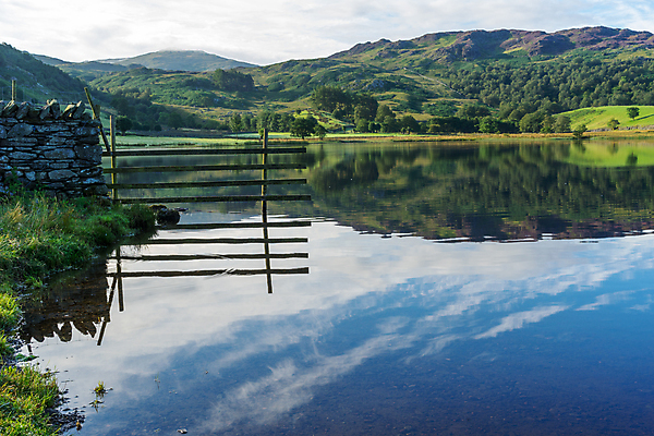 포토 JPG 해외이미지 나무 영어 계절 공원 호수 이동 자연 영국 잉글랜드 풍경 사람없음 야외 초록색 물 여름 노란색 바위 흰색 시골 개울 큼 지역 건너기 왕국 컴브리아주 해외202004 해외포토 자연요소 식물 문자 공공시설 유럽 컬러 컨셉 모션 강 돌_바위 크기 생태계 파일형식 이미지허브