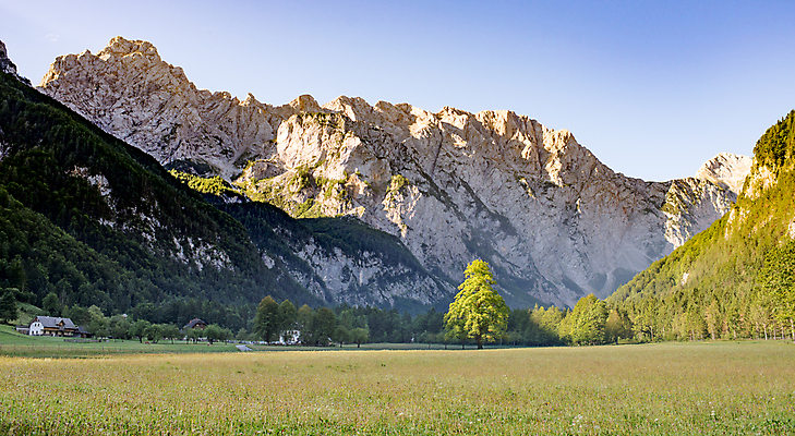 포토 JPG 해외이미지 나무 공원 도로 길 야생동물 여행 백그라운드 자연 산 풍경 사람없음 야외 초록색 태양 여행객 평화 계곡 화목 숲 그림 빙하 알프스 지역 마법 슬로베니아 특별함 해외202004 해외포토 자연요소 식물 동물 공공시설 유럽 컬러 컨셉 교통시설 사람 생태계 파일형식 이미지허브