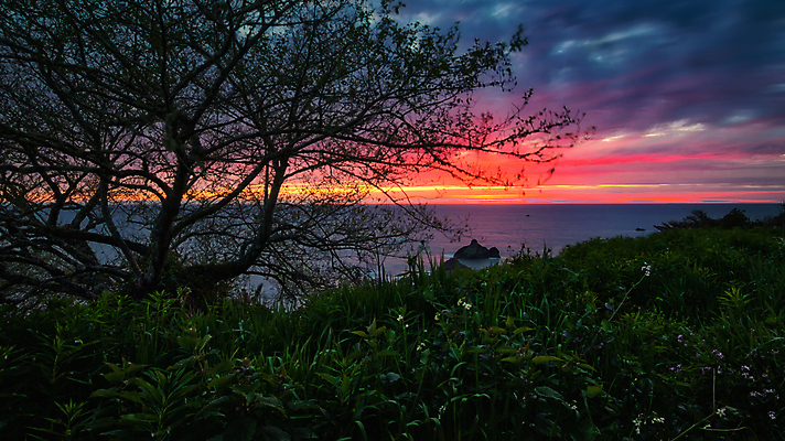 포토 JPG 해외이미지 나무 식물 꽃 파도 바다 섬 여행 백그라운드 자연 하늘 산 풍경 사람없음 물 여름 파란색 여행객 황혼 일몰 봄 활발 절벽 만 서핑 망토 타운 내추럴 수평선 콘월 해외202004 해외포토 자연요소 계절 컬러 컨셉 사람 노을 수상스포츠 도시 생태계 파일형식 이미지허브