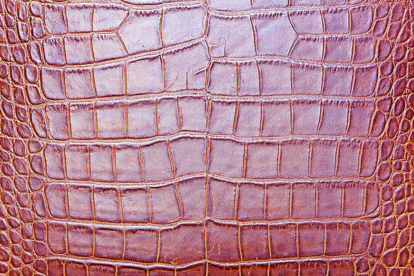 포토 JPG 해외이미지 동물 디자인 옷 산업 분홍색 백그라운드 패턴 의자 자연 표면 날씨 추상 미술 사람없음 우주 어둠 줄무늬 수확 골동품 조약돌 직물 얼룩 거친 주름 가죽 유연 피부 질감 복고 날것 부드러움 결 한조각 내추럴 소가죽 숨기 엘리먼트 옛날 울퉁불퉁 카피스페이스 효과 해외202004 해외포토 1 컬러 가구 무늬 농업 모션 문화예술 신체부위 공백 돌_바위 감각 생태계 파일형식 이미지허브