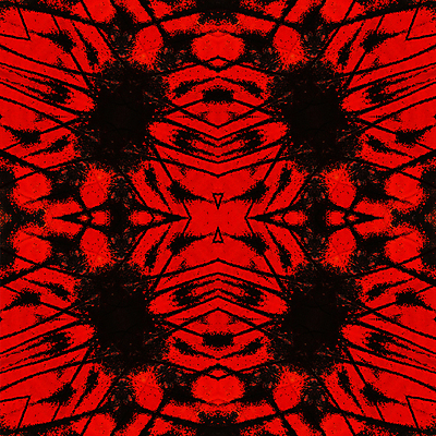 포토 JPG 해외이미지 동물 나비 곤충 백그라운드 패턴 날개 추상 사람없음 컬러풀 벌레 묘사 질감 해외202004 해외포토 컬러 무늬 파일형식 이미지허브