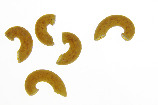 포토 JPG 해외이미지 음식 파스타 건강 사람없음 가로 이탈리아 면 닫기 다발 흰배경 날것 고립 마카로니 많음 해외202004 해외포토 유럽 백그라운드 컨셉 모션 서양음식 흰색 파스타면 파일형식 이미지허브