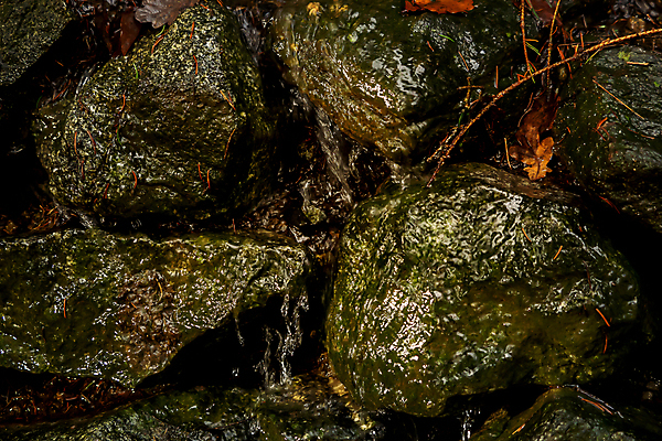 포토 JPG 해외이미지 계절 백그라운드 모션 자연 산 이끼 풍경 사람없음 야외 물 빛 강 환경 젖음 흐름 에너지 암석 바위 신선 액체 개울 황무지 숲 신비 스플래쉬 해외202004 해외포토 자연요소 컨셉 돌_바위 생태계 파일형식 이미지허브