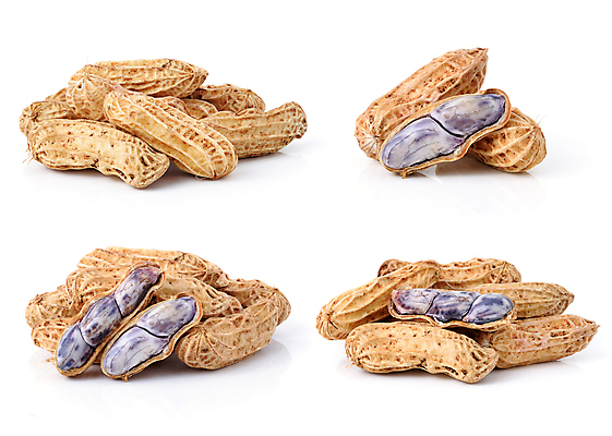 포토 JPG 해외이미지 식물 음식 백그라운드 패턴 재료 자연 건조 건강 씨앗 사람없음 세로 빛 갈색 견과류 수확 껍질 흰색 직물 사발 균열 작음 먹기 유기농 질감 완두콩 복고 땅콩 흙더미 내추럴 단백질 옛날 채식주의자 프로방스 많음 비건 해외202004 해외포토 웰빙 컬러 컨셉 무늬 농업 모션 콩 흙 사기그릇 크기 생태계 채식 영양소 파일형식 더미 이미지허브