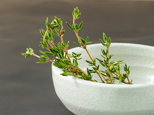 포토 JPG 해외이미지 식물 전통 음식 줄기 백그라운드 잎 채소 재료 자연 유리 건강 요리 사람없음 치료 초록색 약 정원 흰색 나뭇가지 신선 양념 조미료 약초 다발 약국 허브 향신료 유기농 아로마 향 아로마테라피 테라피 내추럴 보충 돌봄 백리향 입가심 치료제 해외202004 해외포토 나무 웰빙 컬러 의학 모션 재질 뷰티 풀_식물 생태계 향미료 파일형식 이미지허브