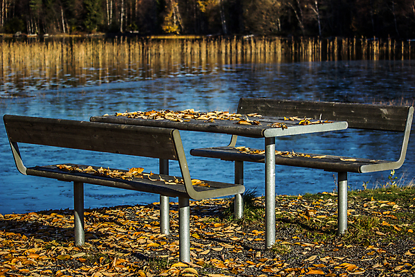 포토 JPG 해외이미지 나무 호수 잎 벤치 탁자 사람없음 물 가을 숲 해외202004 해외포토 자연요소 식물 계절 가구 의자 파일형식 이미지허브