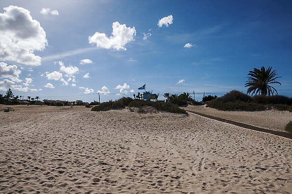 포토 JPG 해외이미지 나무 식물 구름 자연 하늘 풍경 사람없음 야외 여름 파란색 컬러풀 태양 시골 땅 장면 내추럴 해외202004 해외포토 자연요소 계절 컬러 생태계 파일형식 이미지허브