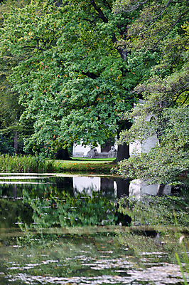 포토 JPG 해외이미지 나무 식물 공원 잎 자연 표면 휴식 사람없음 물 반사 걷기 침묵 나뭇가지 연못 해외202004 해외포토 자연요소 공공시설 컨셉 모션 소리 생태계 파일형식 이미지허브