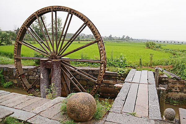 포토 JPG 해외이미지 식물 계절 아시아 전통문화 밭 밥 사람없음 가로 초록색 농장 마을 수확 시골 땅 땅바닥 밭일 해외202004 해외포토 전통 나라 문화 음식 컬러 농업 바닥 파일형식 이미지허브