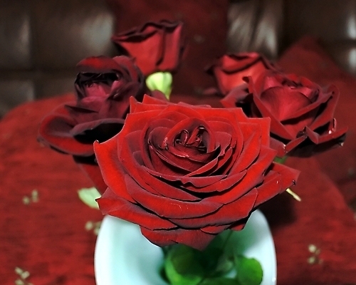 포토 JPG 해외이미지 식물 디자인 기념일 꽃잎 꽃 꽃다발 결혼 백그라운드 잎 꽃무늬 패턴 자연 휴가 기념 발렌타인데이 선물 사랑 사람없음 장식 빨간색 초록색 장미 꽃병 검은색 어둠 수확 벚꽃 흰색 축하 신선 우아함 떨어짐 오브젝트 열정 내추럴 해외202004 해외포토 감정 컬러 컨셉 무늬 농업 데이이벤트 이벤트 생태계 파일형식 이미지허브