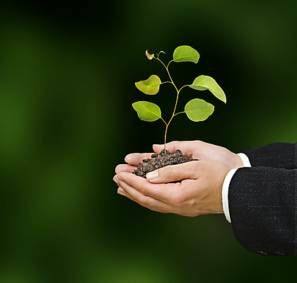 포토 JPG 해외이미지 나무 식물 손 남자 지구 백그라운드 컨셉 잎 자연 선물 사람 사람없음 초록색 새싹 환경 흙 성장 보호 생물학 개발 모종 생태학 심기 해외202004 해외포토 교육 컬러 모션 신체부위 생태계 파일형식 이미지허브
