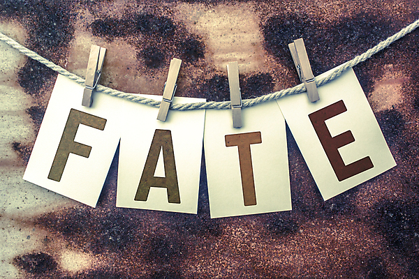 포토 JPG 해외이미지 줄 백그라운드 컨셉 미래 사람없음 단어 수확 운명 신용카드 행운 결과 사인 복고 기회 노끈 우표 구식 그런지 테마 핸드메이드 해외202004 해외포토 문자 농업 금융 파일형식 이미지허브