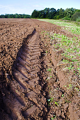 포토 JPG 해외이미지 계절 산업 지구 밭 농업 자연 하늘 씨앗 풍경 사람없음 야외 초록색 농작물 농장 농경지 갈색 환경 흙 목장 가을 시골 숲 땅 먼지 땅바닥 밭일 수평선 세련 해외202004 해외포토 식물 컬러 바닥 생태계 파일형식 이미지허브