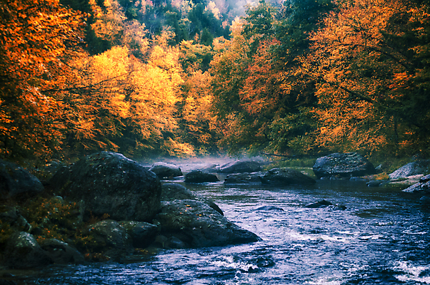 포토 JPG 해외이미지 여행 잎 자연 날씨 휴가 산 풍경 사람없음 야외 물 강 컬러풀 미국 하이킹 가을 클래식 숲 멀리 10월 보호구역 해외202004 해외포토 자연요소 식물 계절 컬러 컨셉 북아메리카 레저 날짜 생태계 구역 파일형식 이미지허브
