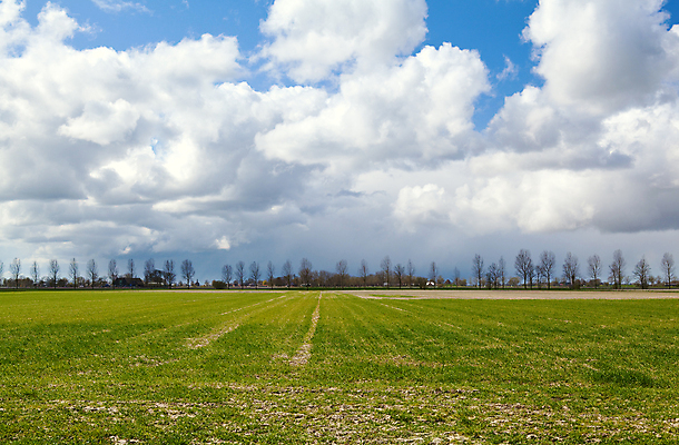 포토 JPG 해외이미지 구름 선 여행 하늘 날씨 풍경 사람없음 야외 초록색 파란색 농경지 마을 흰색 시골 플랫 만족 네덜란드 돌봄 줄서기 평야 수평선 해외202004 해외포토 자연요소 감정 유럽 컬러 모션 자연 농장 파일형식 이미지허브