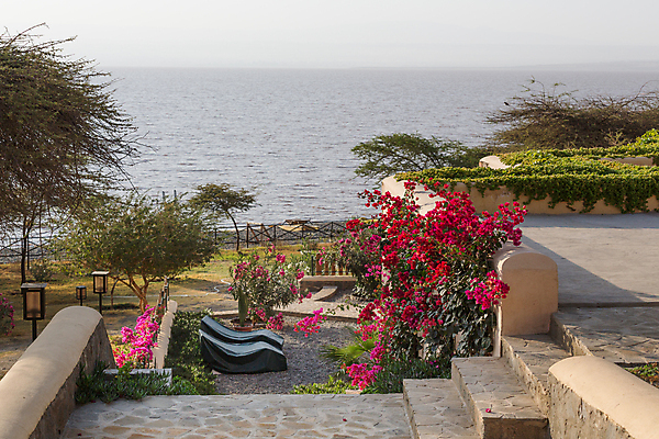 포토 JPG 해외이미지 호수 자연 풍경 사람없음 초록색 물 정원 침묵 내추럴 에티오피아 해외202004 해외포토 자연요소 컬러 아프리카 소리 생태계 파일형식 이미지허브