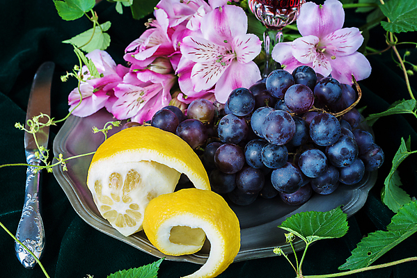 포토 JPG 해외이미지 식물 접시 꽃 음식 과일 유리 탁자 포도 건강 미술 사람없음 내부 장식 초록색 노란색 와인 검은색 어둠 기쁨 꿈 수확 골동품 사발 칼 맛 은색 먹기 만족 그림 복고 통조림 정물화 특별함 스타일 해외202004 해외포토 식기 감정 컬러 가구 컨셉 농업 모션 재질 문화예술 주류 사기그릇 파일형식 이미지허브