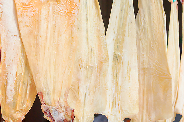 포토 JPG 해외이미지 동물 구름 전통 아시아 문화 선 음식 모래 바다 자연 하늘 낚시 건조 항해 건강 어류 풍경 사람없음 야외 가로 빨간색 파란색 빛 햇빛 태양 식당 침묵 이탈리아 신선 잡기 고리 스페인 코드 지중해 해산물 그리스 오징어 날것 문어 칠면조 그리스인 해외202004 해외포토 자연요소 서양인 유럽 나라 컬러 배_교통 모션 조류 레저 연체동물 상점 수중동물 소리 생태계 파일형식 이미지허브