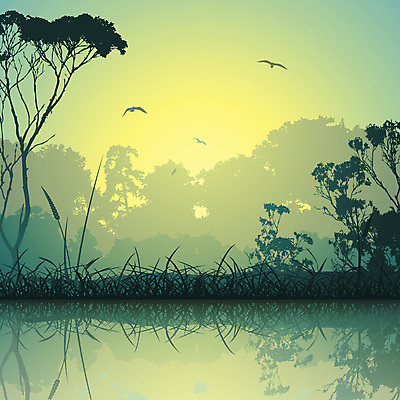 포토 JPG 해외이미지 나무 실루엣 호수 일러스트 풍경 사람없음 물 강 반사 일출 일몰 안개 시골 숲 해외202004 해외포토 자연요소 식물 날씨 촬영기법 노을 파일형식 이미지허브