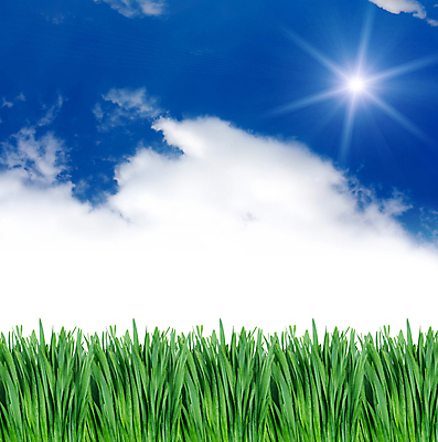 포토 JPG 해외이미지 식물 구름 계절 백그라운드 잎 밭 텍스트 자연 벽지 하늘 풍경 잔디 사람없음 야외 초록색 여름 파란색 농장 정원 봄 활발 에코 내추럴 생태학 수평선 해외202004 해외포토 자연요소 교육 컬러 컨셉 농업 환경 생태계 파일형식 이미지허브