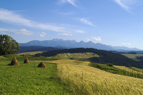 포토 JPG 해외이미지 밭 농업 자연 휴가 산 파노라마 풍경 사람없음 초록색 여름 정상 언덕 광택 폴란드 해외202004 해외포토 계절 유럽 산업 컬러 촬영기법 생태계 파일형식 이미지허브