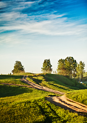 포토 JPG 해외이미지 식물 구름 도로 길 줄기 자연 하늘 날씨 풍경 잔디 사람없음 옆모습 세로 빛 햇빛 태양 계곡 일몰 새벽 시골 땅 밀 방향 왼쪽 먼지 장면 지역 땅바닥 방법 선로 숙성 줄서기 수평선 해외202004 해외포토 자연요소 뷰포인트 교통시설 모션 곡류 바닥 노을 생태계 파일형식 이미지허브