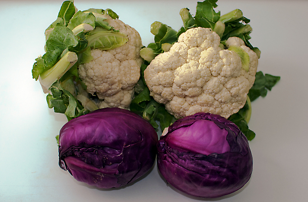 포토 JPG 해외이미지 식물 음식 조각 잎 농업 다이어트 채소 건강 사람없음 빨간색 초록색 컬러풀 보라색 저녁식사 신선 맛 자르기 먹기 질감 양배추 날것 섬유 고립 식용 해외202004 해외포토 산업 컬러 컨셉 모션 식사 직물 파일형식 이미지허브