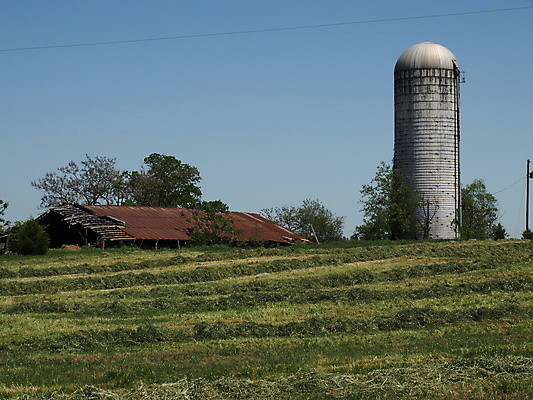 포토 JPG 해외이미지 밭 농업 하늘 사람없음 건물 농장 농경지 시골 땅 외양간 밭일 해외202004 해외포토 건축물 산업 파일형식 이미지허브