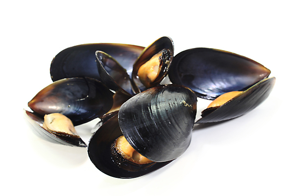 포토 JPG 해외이미지 접시 바다 오렌지 조개 갑각류 요리 사람없음 이탈리아 튀김 프랑스 오픈 고급 먹기 해산물 홍합 단백질 이국적 해외202004 해외포토 동물 식기 유럽 음식 컨셉 과일 모션 어패류 영양소 파일형식 이미지허브