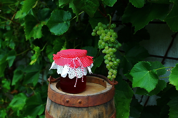 포토 JPG 해외이미지 음식 자연 포도 사람없음 정원 가을 9월 젤리 8월 내추럴 마멀레이드 핸드메이드 해외202004 해외포토 계절 과일 디저트 날짜 잼 생태계 파일형식 이미지허브