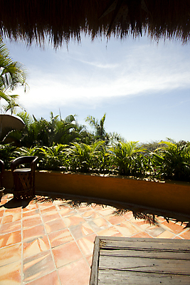 포토 JPG 해외이미지 나무 바다 여행 자연 멕시코 풍경 사람없음 파란색 컬러풀 야자수 농촌 유카탄 열대기후 터키석 해외202004 해외포토 식물 컬러 북아메리카 시골 보석 생태계 파일형식 이미지허브