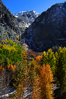 포토 JPG 해외이미지 나무 계절 여행 잎 하늘 산 사람없음 가로 빨간색 파란색 노란색 미국 가을 정상 숲 9월 11월 그림 북쪽 통과 10월 서쪽 전국 절정 콜로라도 해외202004 해외포토 식물 컬러 북아메리카 날짜 방향 파일형식 이미지허브