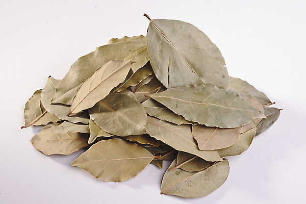 포토 JPG 해외이미지 스튜디오촬영 도마 씨앗 사람없음 목재 세로 금속 숟가락 소나무 양념 허브 향신료 국자 회향 해외202004 해외포토 나무 식물 재료 재질 주방용품 수저 실내 향미료 파일형식 이미지허브