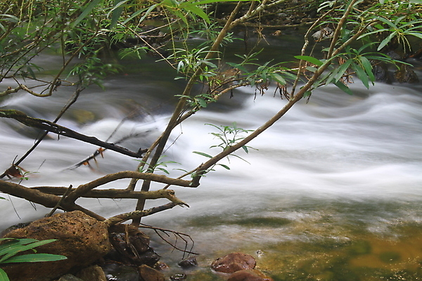 포토 JPG 해외이미지 나무 길 밧줄 여행 태국 자연 휴가 따뜻함 풍경 사람없음 야외 목재 초록색 물 여름 강 햇빛 태양 반사 맑음 흐름 흰색 개울 숲 위험 무서움 속도 철사 원시시대 리빙 옛날 해외202004 해외포토 자연요소 식물 계절 감정 아시아 줄 컬러 컨셉 재료 날씨 역사 생태계 파일형식 이미지허브
