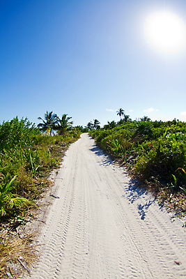포토 JPG 해외이미지 모래 바다 섬 여행 백그라운드 자연 하늘 휴가 따뜻함 풍경 사람없음 물 야자수 평화 항구 맑음 흰색 중앙아메리카 고급 방파제 해외202004 해외포토 자연요소 나무 공공시설 컬러 컨셉 교통시설 날씨 아메리카 생태계 파일형식 이미지허브