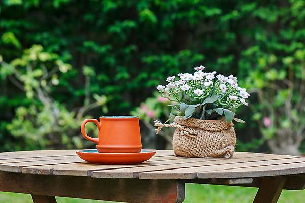 포토 JPG 해외이미지 나무 꽃 행복 커피 음료 꽃다발 백그라운드 가방 자연 탁자 아침 휴식 사람없음 목재 컵 갈색 숟가락 꽃병 어둠 카페 기쁨 추위 신선 뜨거움 아침식사 냄비 매끈함 냄새 자루 점토 에스프레소 내추럴 카페인 안락 해외202004 해외포토 주간 식물 식기 잡화 감정 컬러 가구 컨셉 재료 수저 상점 식사 감각 솥 생태계 파일형식 이미지허브